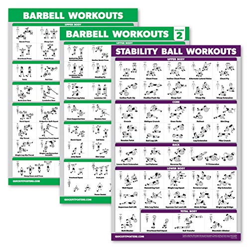 Palace Learning 3 Stück – Langhantel-Workout-Poster Volumen 1 & 2 + Yoga/Stabilitätsball Übungstabelle – Set mit 3 Postern (laminiert, 45,7 x 61 cm) von Palace Learning