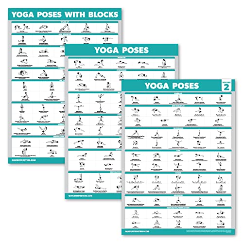 Palace Learning 3er-Pack – Yoga-Posen Poster Band 1 & 2 + Yoga-Positionen mit Yoga-Block – Übungstabellen für Anfänger – Englische und Sanskrit-Namen (18 x 24, laminiert) von Palace Learning