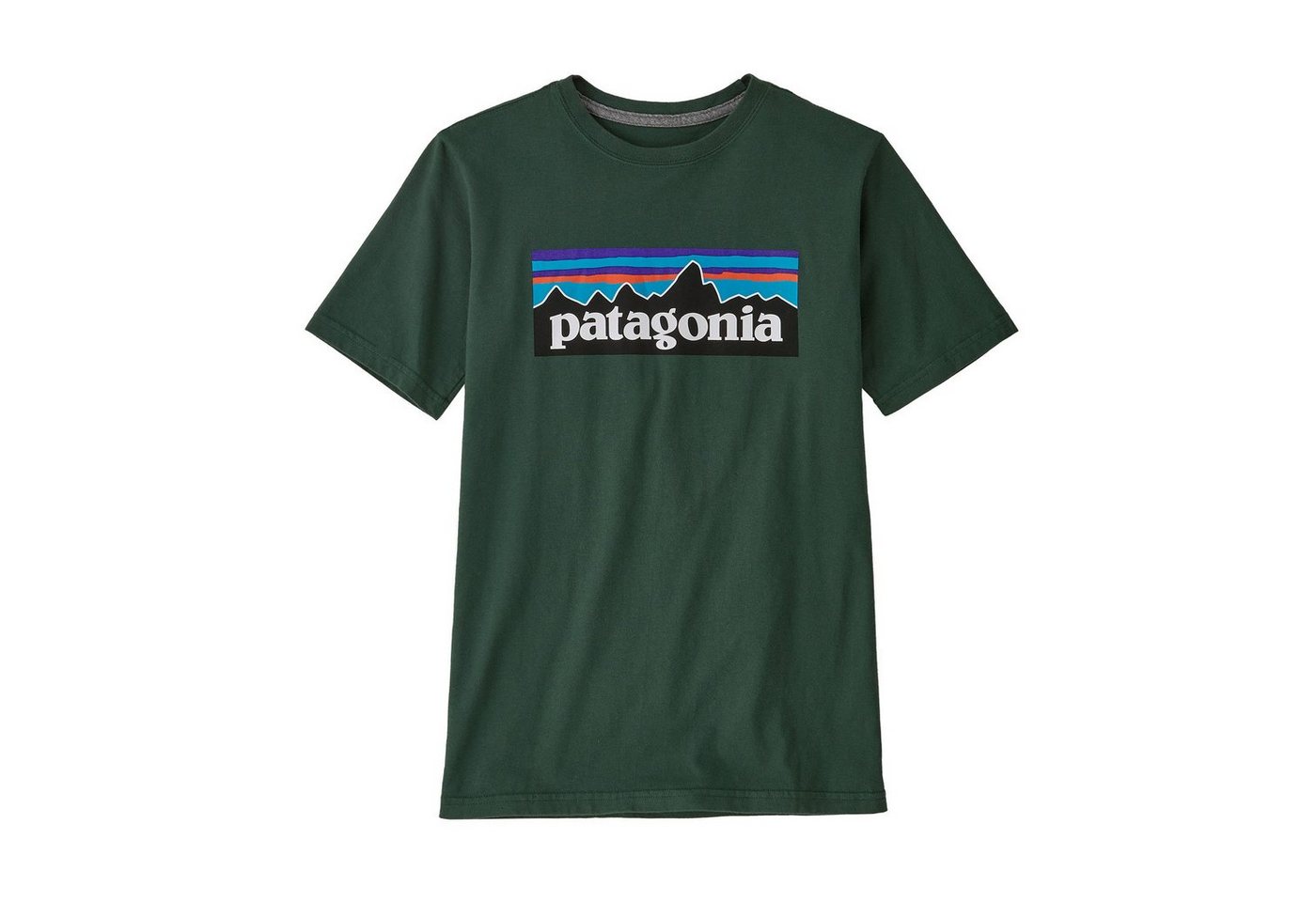 Patagonia T-Shirt Patagonia Kinder T-Shirt Regenerative Organic Certified Cotton P-6 Logo Mini von Patagonia