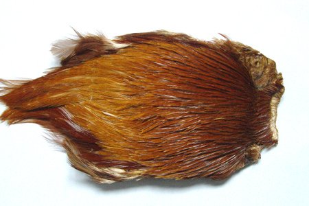 Pechetruite 1 x Indien Hennennacken - BRAUN Fliegenbinden von Pechetruite