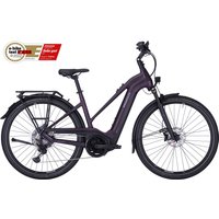 Pegasus Premio Evo 11 ''40 Years'' 750 Wh Damen Trapez lila von Pegasus