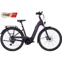 Pegasus Premio Evo 11 ''40 Years'' 750 Wh Damen lila 2022/20 von Pegasus