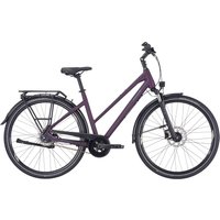 Pegasus Premio SL Disc 8 Anniversary Damen Trapez lila 22/23 von Pegasus