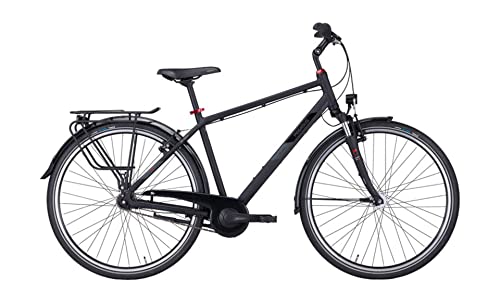 Pegasus Solero SL 8 28 Zoll Trekkingrad 8-Gang Rücktrittbremsnabe schwarz von Pegasus