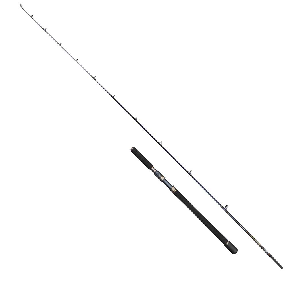 Penn Battalion Solid Hybrid Boat Baitcasting Rod Silber 2.38 m / 12-20 Lbs von Penn