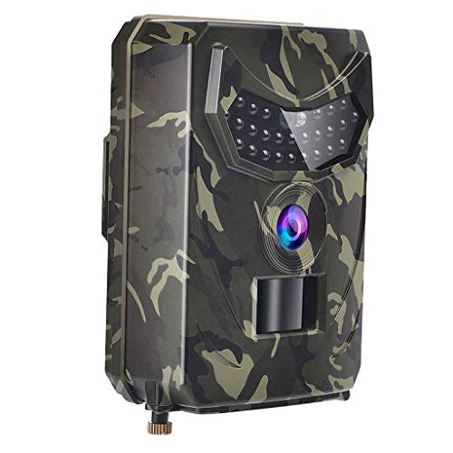 Perfeclan 12MP 4032 * 3024 Wildkamera Jagdkamera 120- Weitwinkel Infrarot-Nachtsicht wasserdichte IP56 Überwachungskamera für Outdoor, Garten, B, wie Beschreibung von Perfeclan