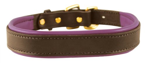 Perri's Gepolstertes Hundehalsband, Leder, Havana/Violett, Größe S: 1,9 x 40,6 cm, passend für Hunde mit 25,4-33 cm Halsumfang von Perri's