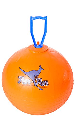 Original Pezzi Pon Pon Ball - Normal, 53 cm orange Hüpfball Springball von PEZZI