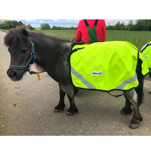 Fahrdecke für Pferde, Shetty, Pony | Abschwitzdecke Reflex | Fahrsport Pferde | Kutschenzubehör | Regen & Winddicht (Warmblut (Full)) von Pferdelinis