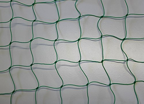 PieloBa Ballfangnetz - Ballnetz - Netz - grün - Masche 5 cm - Stärke: 1,2 mm - Größe: 3,00 m x 6 m von PieloBa