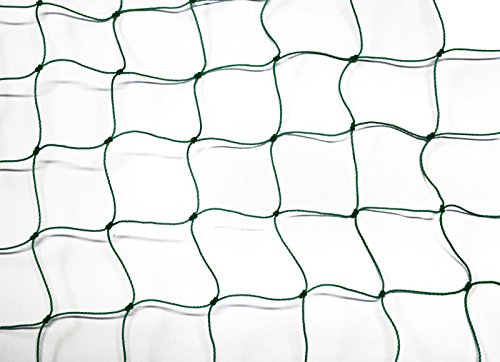 PieloBa Ballfangnetz - Ballnetz - Netz - grün - Masche 5 cm - Stärke: 1,2 mm - Größe: 4,00 m x 10 m von PieloBa