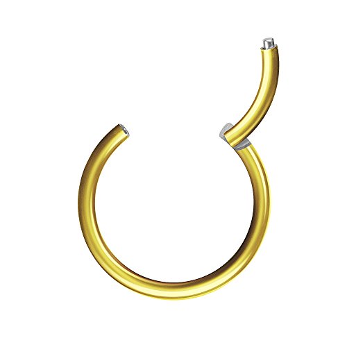 Piercingfaktor Universal Piercing Segmentring Scharnier Clicker Segment Ring Septum Tragus Helix Ohr Nase Lippe Brust Intim Gold 1.0mm x 10mm von Piercingfaktor