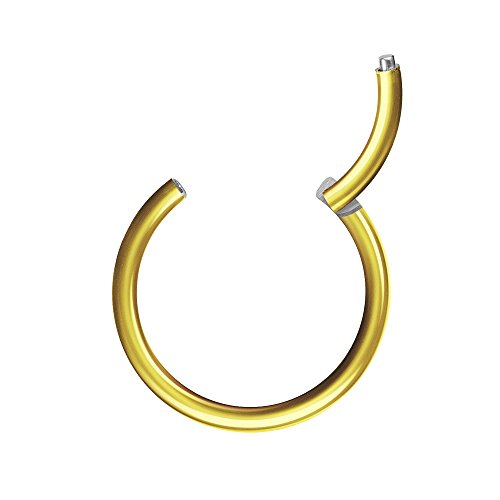 Piercingfaktor Universal Piercing Segmentring Scharnier Clicker Segment Ring Septum Tragus Helix Ohr Nase Lippe Brust Intim Gold 1.2mm x 12mm von Piercingfaktor