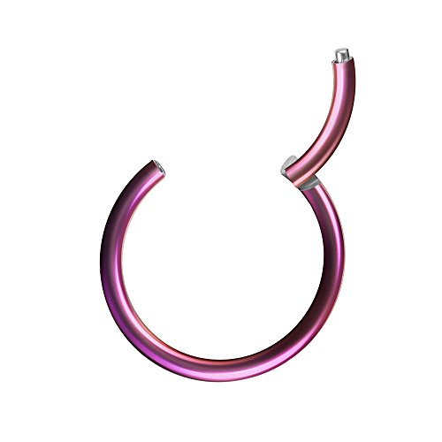 Piercingfaktor Universal Piercing Segmentring Scharnier Clicker Segment Ring Septum Tragus Helix Ohr Nase Lippe Brust Intim Lila 1.6mm x 12mm von Piercingfaktor