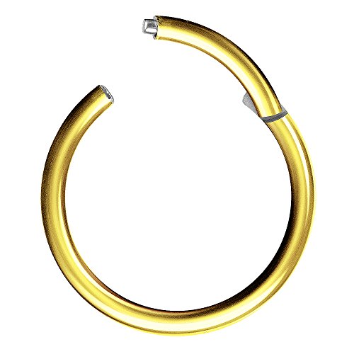 Piercingfaktor Universal Titan G23 Piercing Scharnier Clicker Ring Septum für Tragus Helix Ohr Nase Lippe Brust Intim Nippel Augenbrauen Gold Vergoldet1,0mm x 10mm von Piercingfaktor