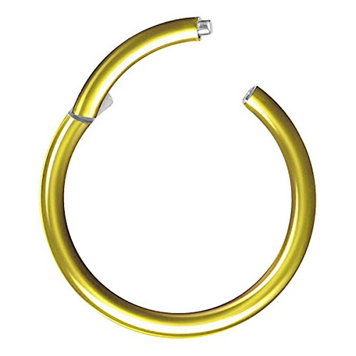 Piersando Titan Piercing Ring für Septum Tragus Helix Ohr Nase Lippe Brust Intim Nasenpiercing Ohrpiercing Lippenpiercing Clicker Scharnier Gold 1,6mm x 8mm von Piersando