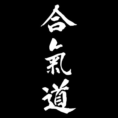 Porfeet Auto Aufkleber, Aikido Japanische Buchstaben Gedruckt Langlebige wasserdichte Fahrzeug Dekor Aufkleber Aufkleber Schwarz von Porfeet