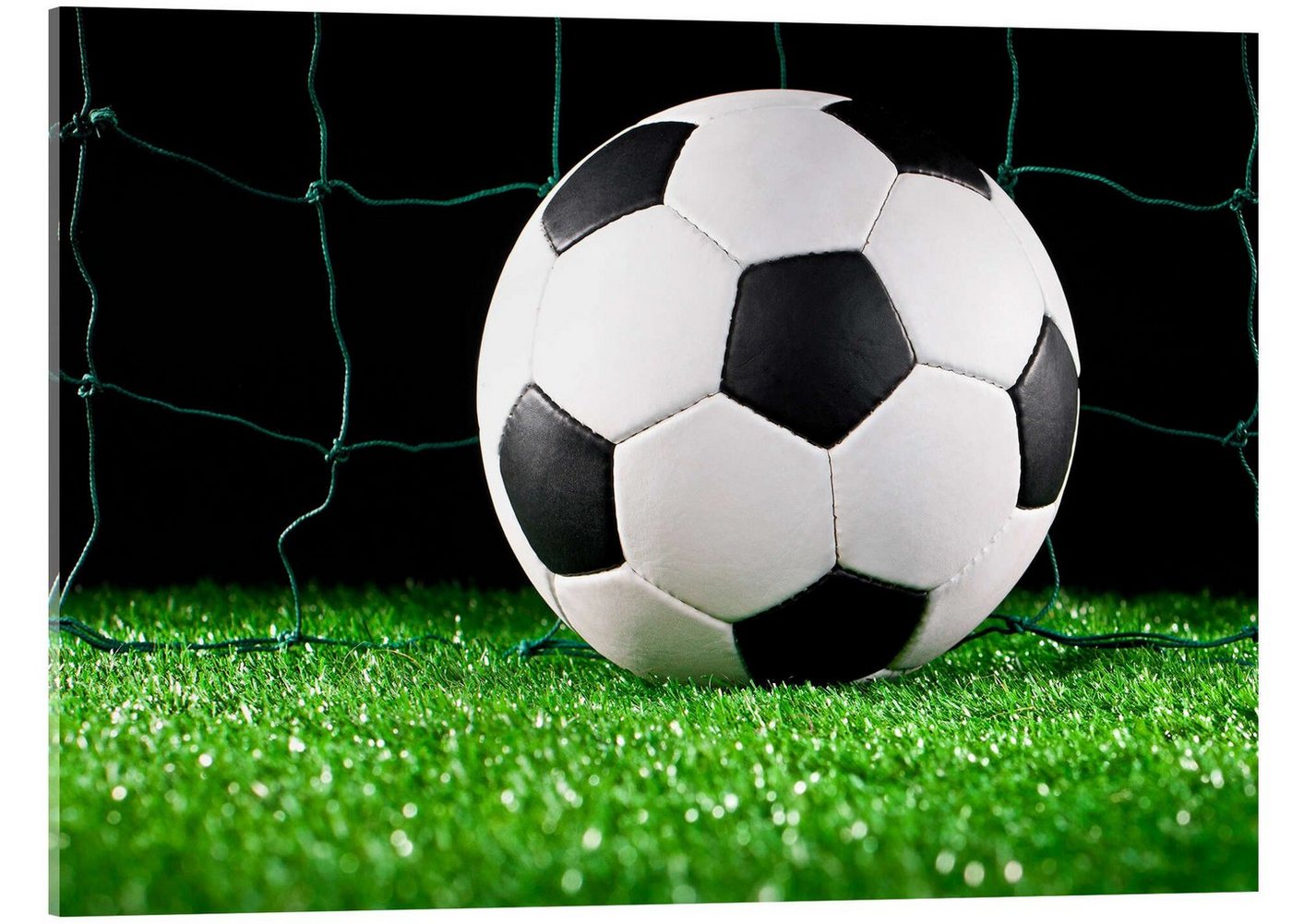 Posterlounge Acrylglasbild Editors Choice, Fußball im Tor, Fotografie von Posterlounge