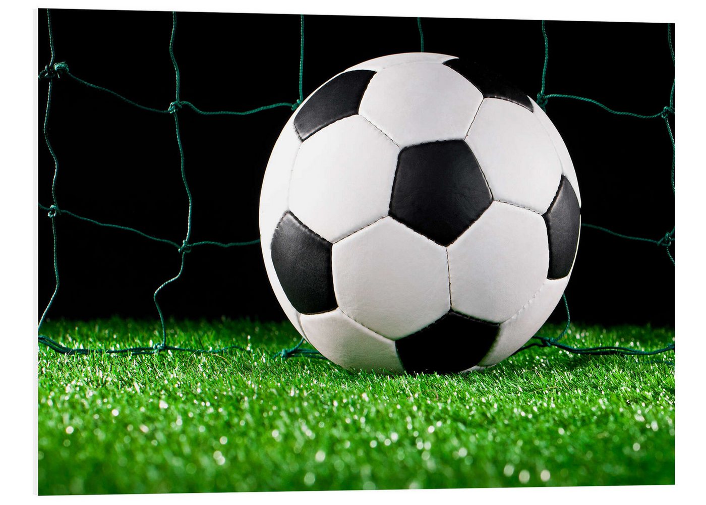 Posterlounge Forex-Bild Editors Choice, Fußball im Tor, Fotografie von Posterlounge