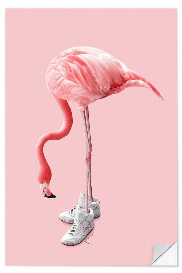Posterlounge Wandfolie Jonas Loose, Sneaker-Flamingo, Jugendzimmer Illustration von Posterlounge