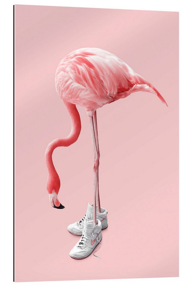 Posterlounge XXL-Wandbild Jonas Loose, Sneaker-Flamingo, Jugendzimmer Illustration von Posterlounge