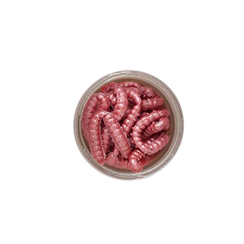 Berkley Powerbait Honigwürmer für 2020 (Pink) von Power Bait
