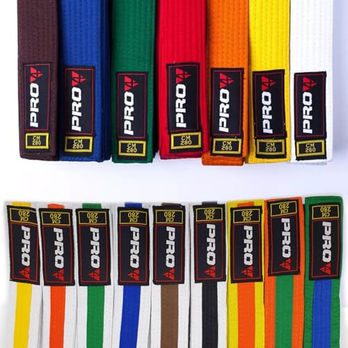 Pro4 Budo Gürtel 1 oder 2 farbig für Kampfsport Karate TKD Kickboxen Judo Jiu Jitsu 220 240 260 280 300 oder 320cm (gelb-orange, 220cm) von Pro4
