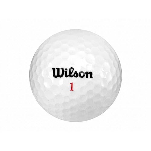 25x Wilson Lakeball Mix | AAA | Lakeball Golfball Procycled von Procycled