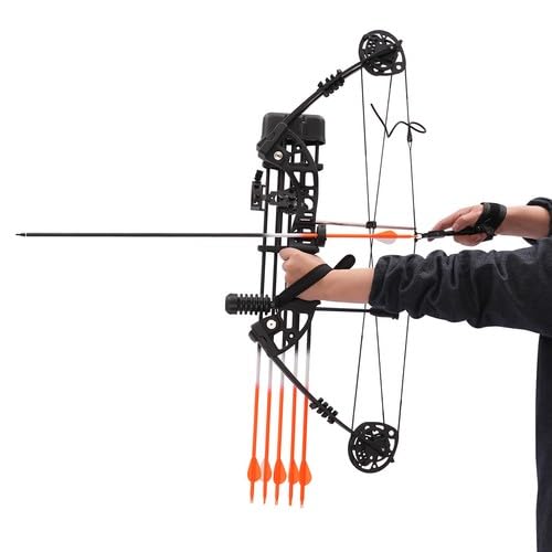 30-60LBS Compoundbogen Set Enthalten 10 Target Papers & 12 Arrows Erwachsene Bogenschießen Set für Erwachsene Jugend Anfänger von PromiseFly
