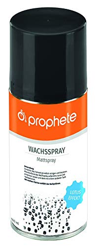 Prophete Pflegemittel Wachsspray, Mehrfarbig, L, 5192 von Prophete