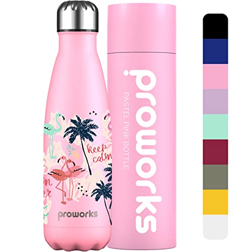 Proworks Edelstahl Trinkflasche | 24 Std. Kalt und 12 Std. Heiß - Vakuum Wasserflasche - Isolierflasche für Sport Laufen Fahrrad Yoga und Camping - 500ml - Pastellrosa - Flamingo-Fest von Proworks