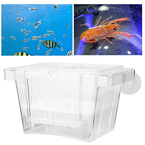 Fisch Shrimp Züchter Box Acryl Aquarium Züchter Box Acryl Multifunktionale Fisch Isolation Box Brut Inkubator Isolation Box von Pssopp