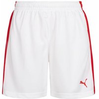 DHF Dänemark PUMA Damen Handball Shorts 750674-12 von Puma