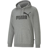 PUMA Essentials Big Logo Terry-Hoodie Herren medium gray heather S von Puma