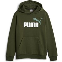 PUMA Ess+ Metallic 2 Col Big Logo Fleece-Hoodie Jungen 31 - myrtle 152 von Puma