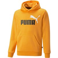PUMA Ess+ Metallic 2 Col Big Logo Fleece-Hoodie Jungen tangerine 176 von Puma