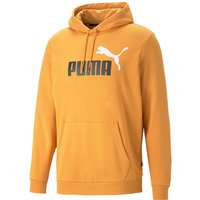 PUMA Ess+ Metallic 2 Col Big Logo Terry-Hoodie 30 - desert clay XL von Puma