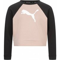 PUMA Girl Modern Sports Crew Mädchen Sweatshirt 670192-47 von Puma