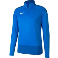 PUMA Herren Sweatshirt teamGOAL 23 Training 1/4 Z von Puma