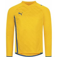 PUMA KING Herren Langarm Trikot 700857-28 von Puma