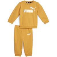 PUMA Kinder Sportanzug Minicats ESS Crew Jogger F von Puma