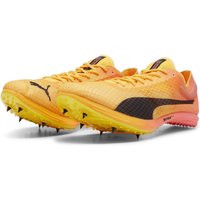 PUMA evoSPEED Distance Nitro Elite+ 4 Leichtathletikschuhe 01 - sun stream/sunset glow/puma black 44.5 von Puma