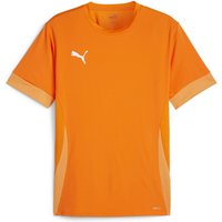 PUMA teamGOAL Matchday Trikot Herren 08 - rickie orange/puma white/bright melon L von Puma