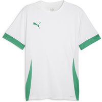 PUMA teamGOAL Matchday Trikot Herren 15 - PUMA white/sport green/sport green XL von Puma