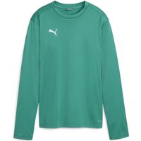 PUMA teamGOAL Trainings-Sweatshirt Damen 05 - sport green/power green/puma white L von Puma