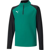 PUMA teamLIGA 1/4-Zip Top Kinder pepper green/puma black 128 von Puma