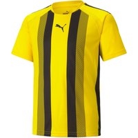 PUMA teamLIGA Striped Trainingsshirt Kinder cyber yellow/puma black 116 von Puma