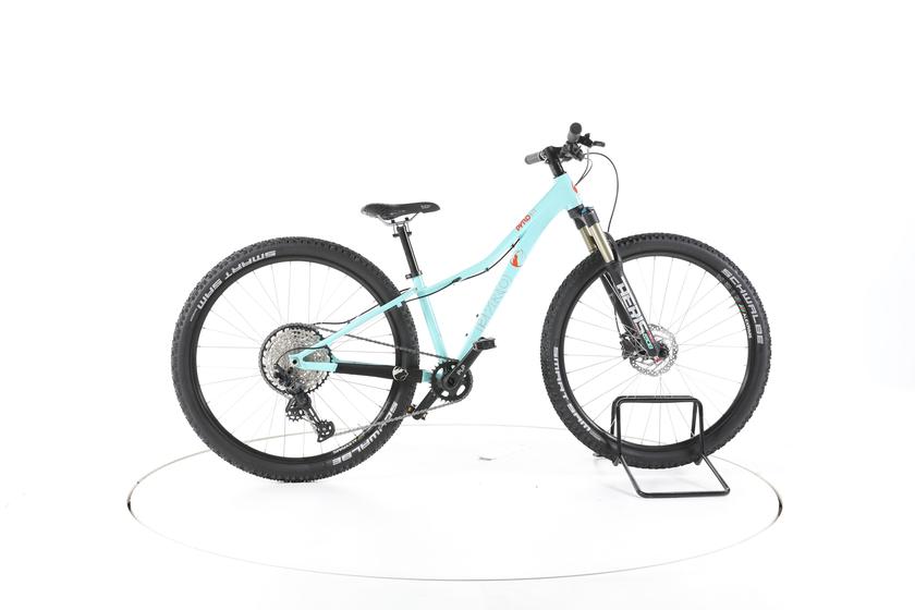 Pyrobikes B.13 von Pyrobikes