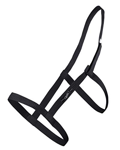 QHP Weidehalfter Halfter mit Klettverschluss schwarz (Vollblut) von QHP