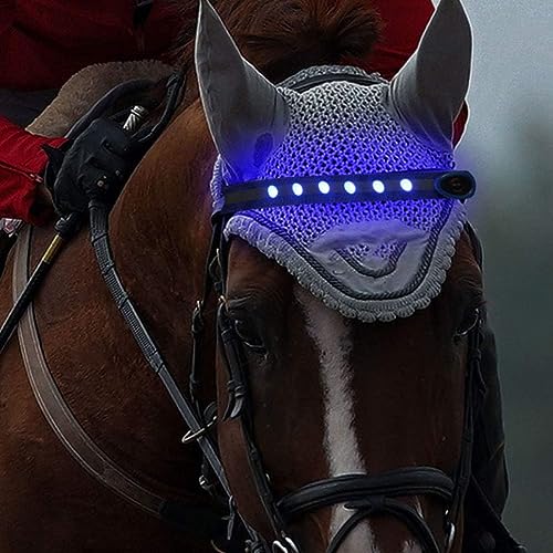QQY LED Korsett Führende Pferd Kopf Reifen LED Streifen Visuelle Positionierung Pferd Kopf Gurt für Nacht Reiten Events (Blau) von QQY